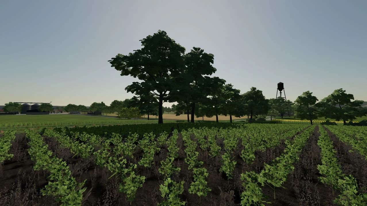 LOS SANTOS RANCH