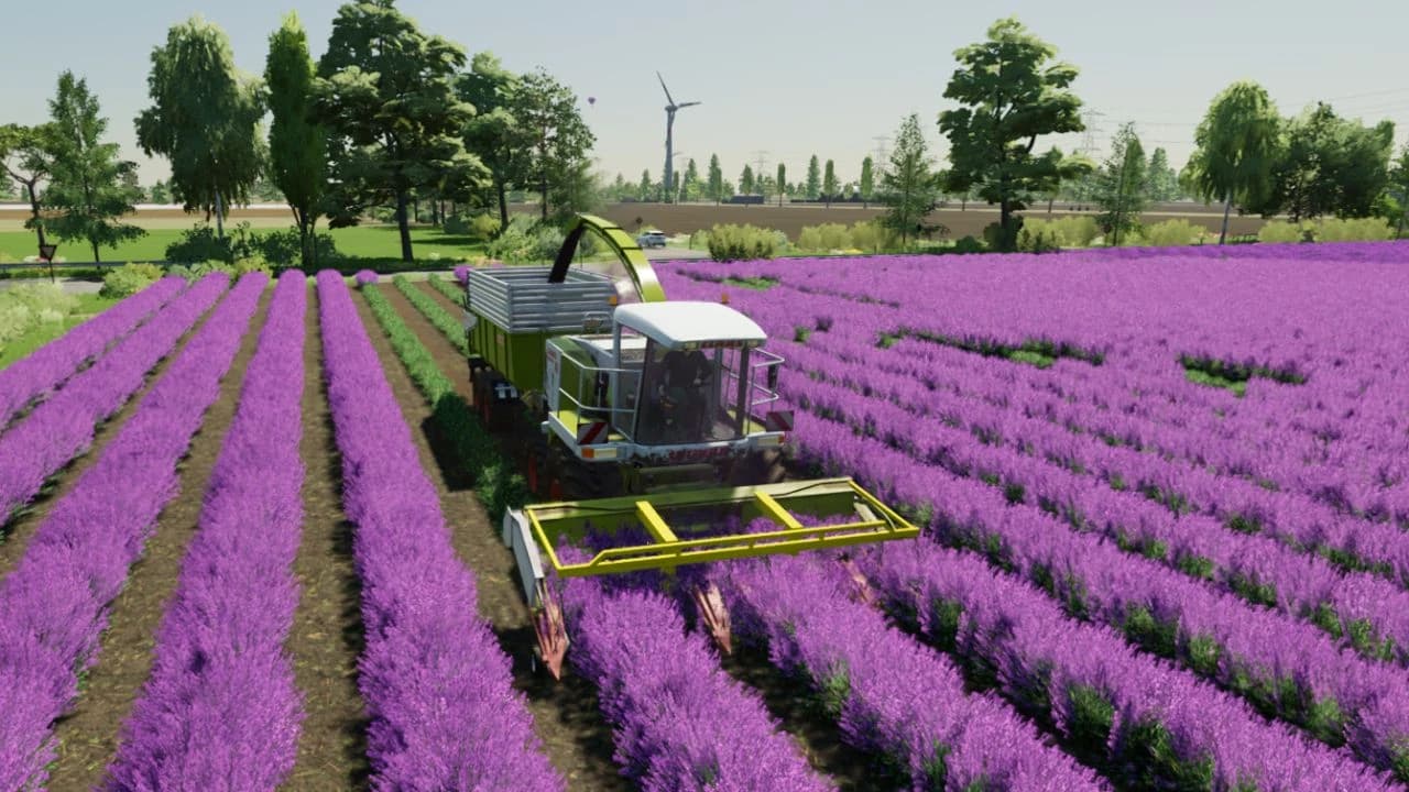 Lavender in Rows (Prefab) 2