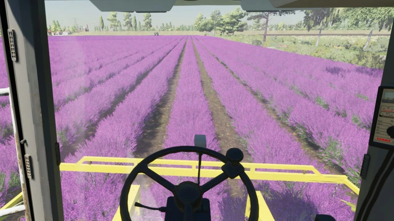 Lavender in Rows (Prefab)