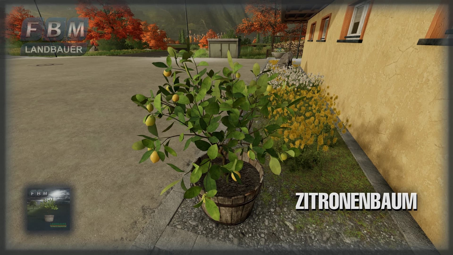 Lemon Tree 3