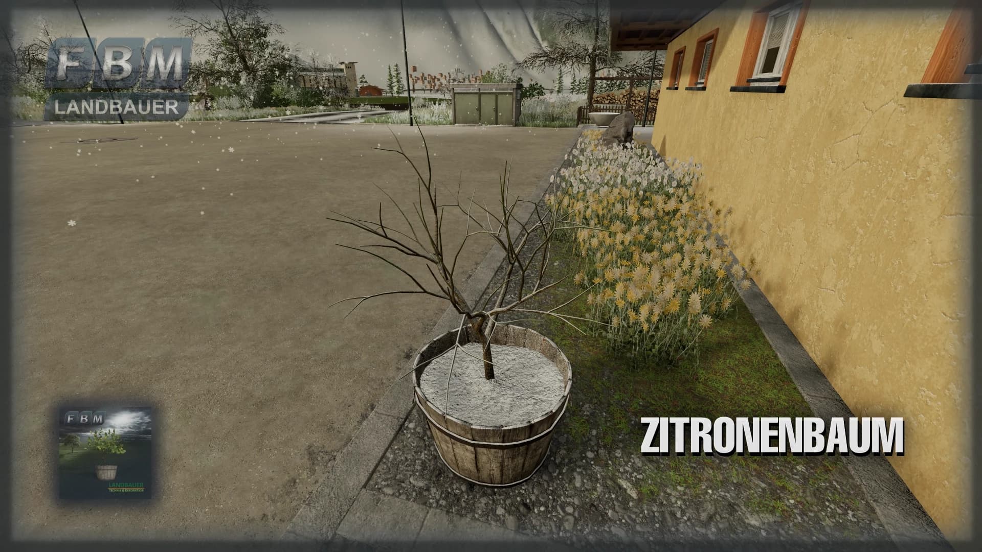 Lemon Tree 2