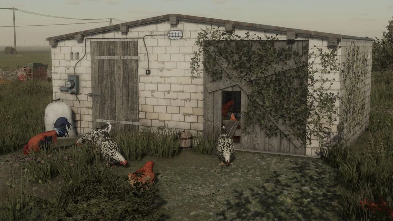 Little Brick Hen House 5