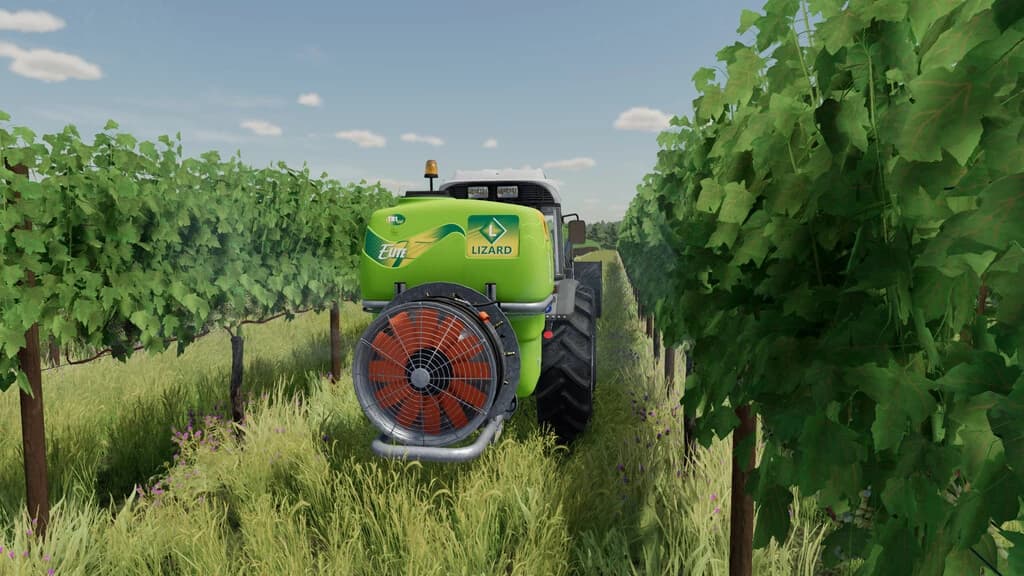 Lizard JR Vineyard Pack 5