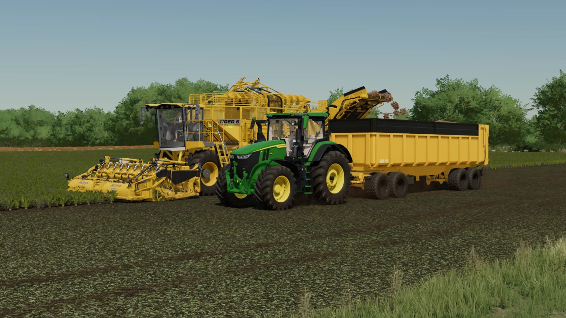 Lizard Trailer Pack 3