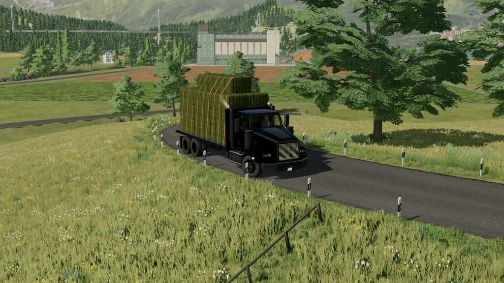 Lizard Flatbed AutoLoad 3