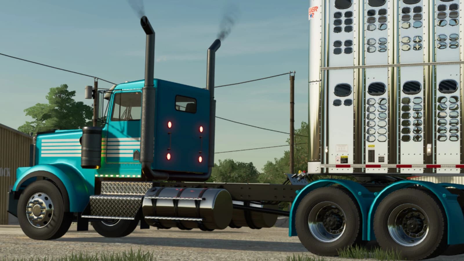 Lizard W900 B 4