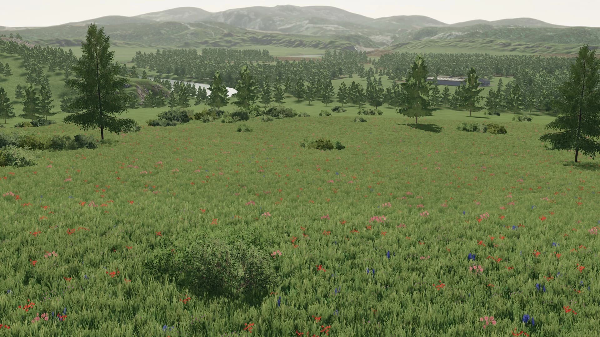 Longhorn Valley Ranch 3