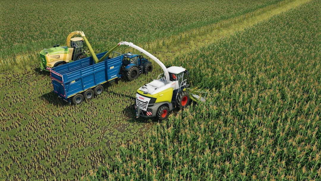 MAIZE PACK 2