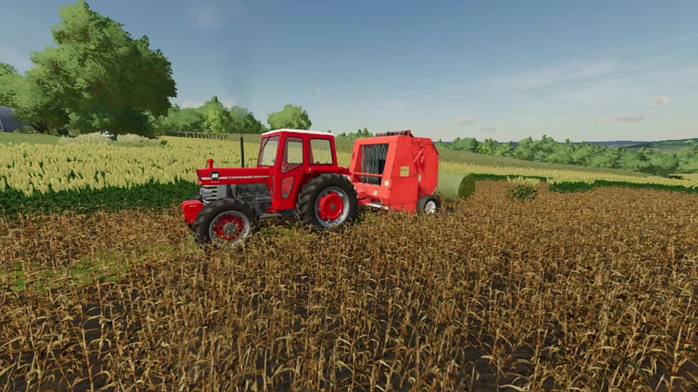 MAIZEPLUS SWATHING READY 5