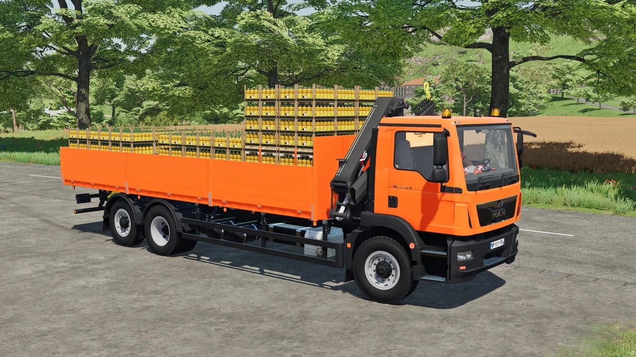MAN TGM 26-32 (AUTOLOAD) 4
