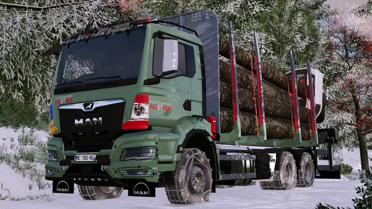 MAN TGS TG3 WOODTRUCK 5