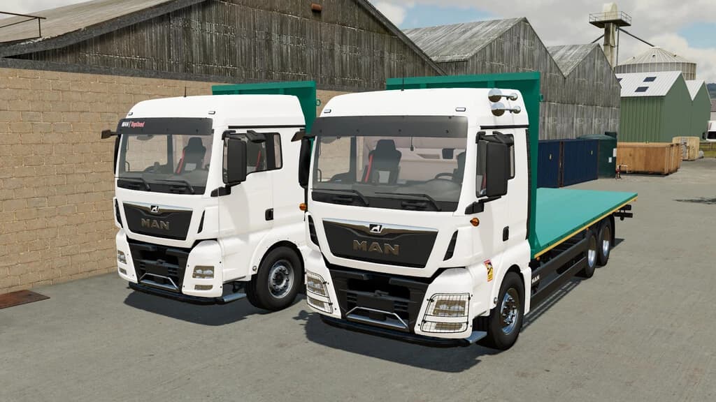 MAN TGX 26.640 STRAW BALE 4