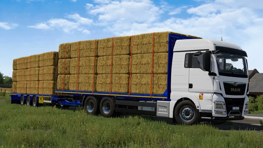 MAN TGX 26.640 STRAW BALE 3