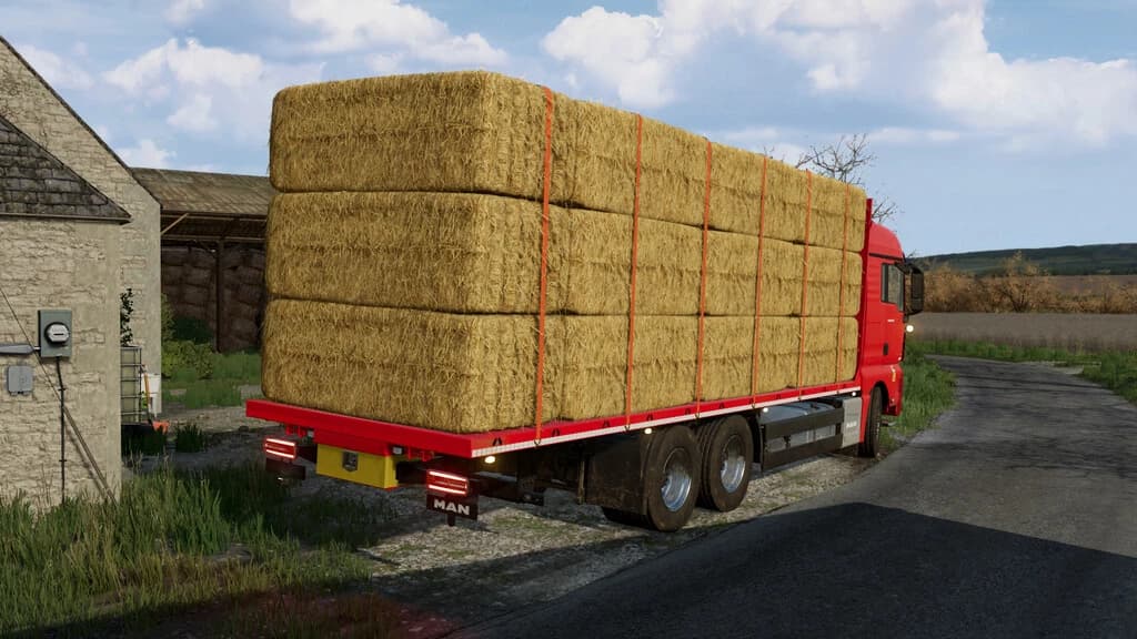 MAN TGX 26.640 STRAW BALE 2