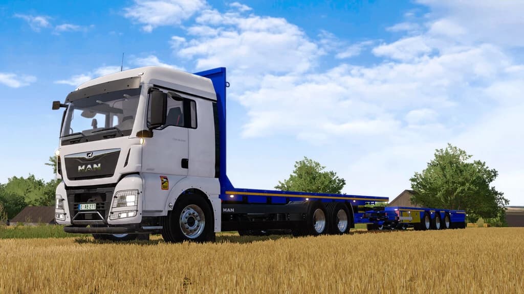 MAN TGX 26.640 STRAW BALE