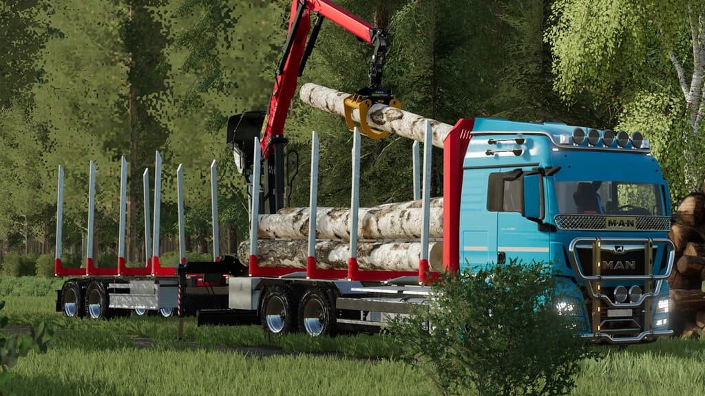MAN TGX FOREST SPECIAL 5