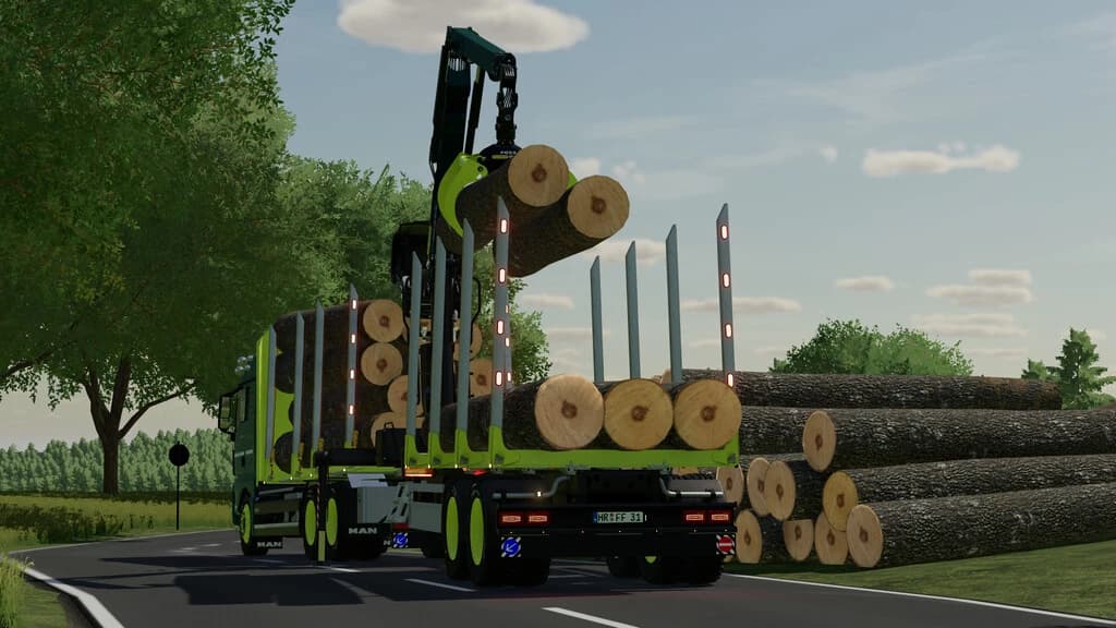 MAN TGX FOREST SPECIAL 3