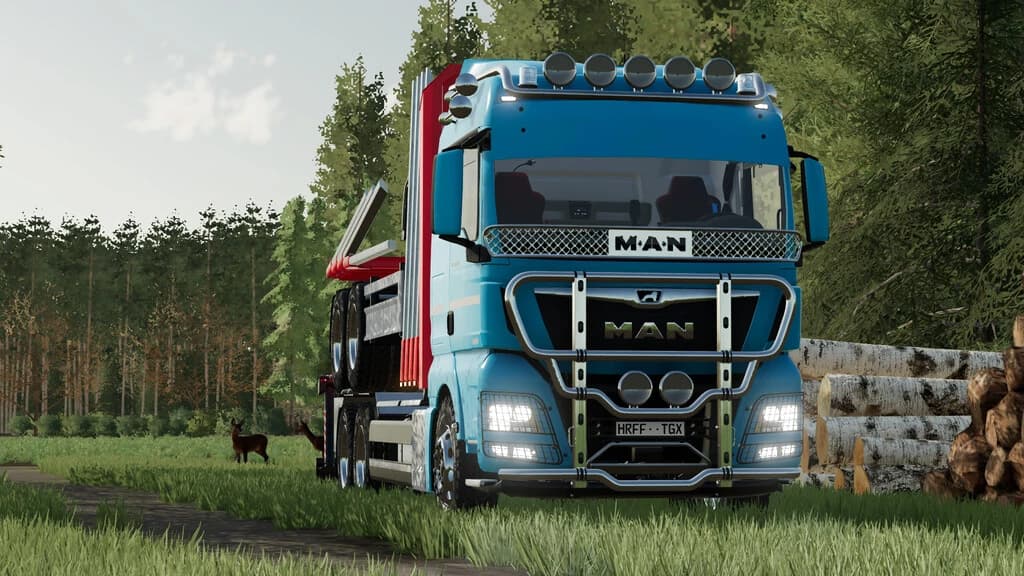 MAN TGX FOREST SPECIAL 2
