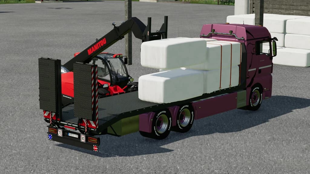 MAN TGX TRANSPORTER 2
