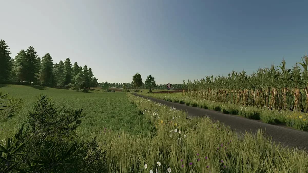 MAP RIEDWÄLDLE 4