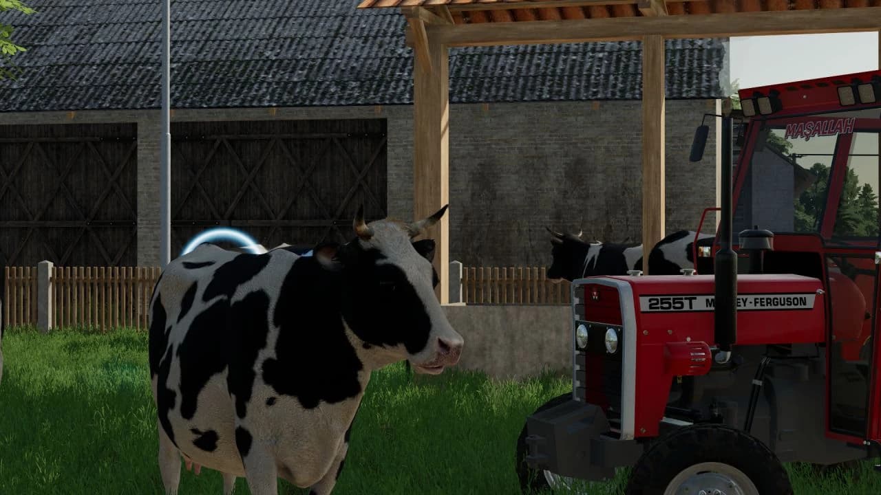 MASSEY FERGUSON 255 TURBO