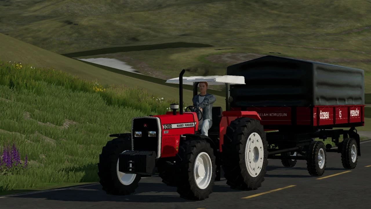 MASSEY FERGUSON 3.095D