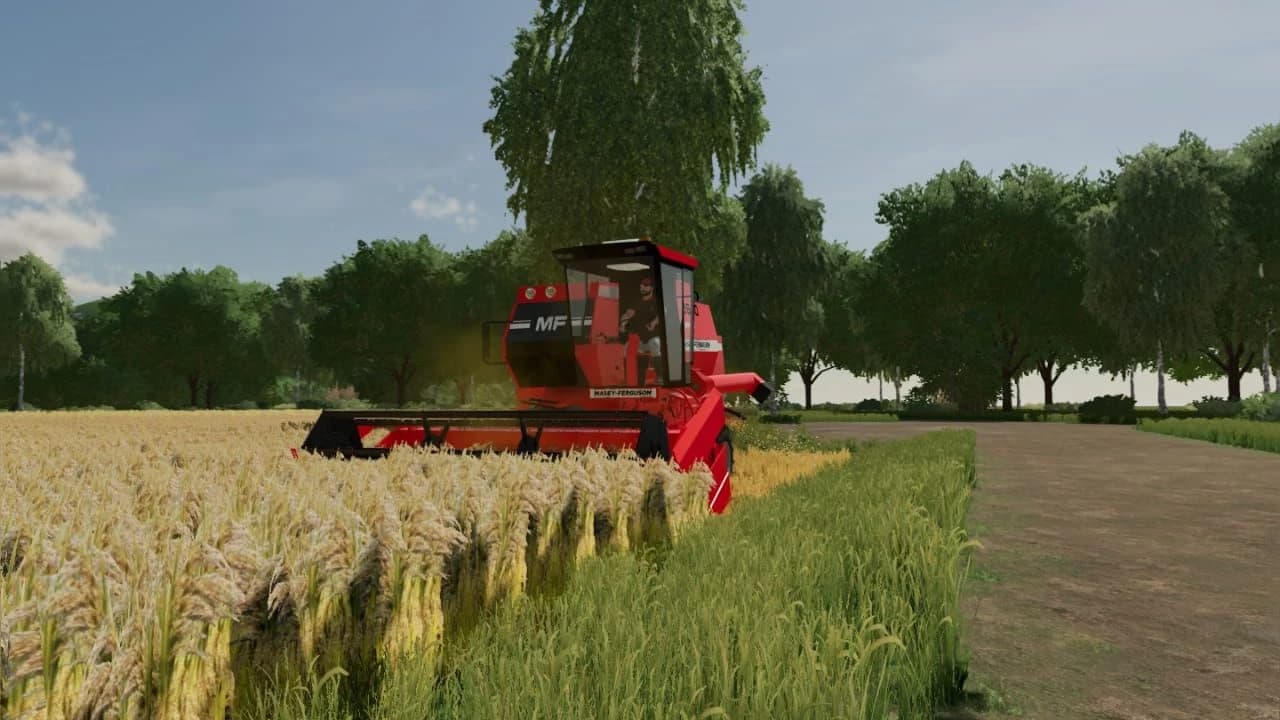 MASSEY FERGUSON 310 / 3640 4