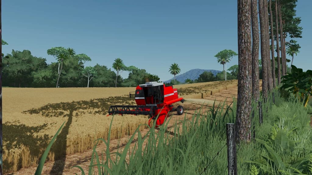 MASSEY FERGUSON 3640 2
