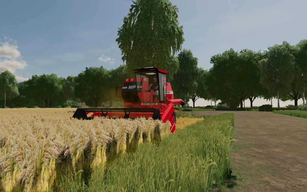 MASSEY FERGUSSON 310