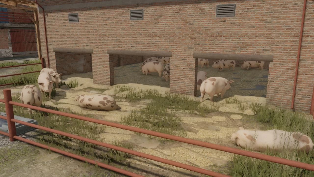 MEDIUM-SIZED PIGSTY