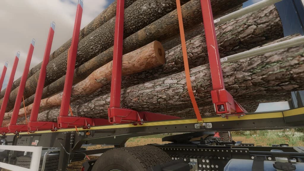 MEGA TIMBER LONG 5