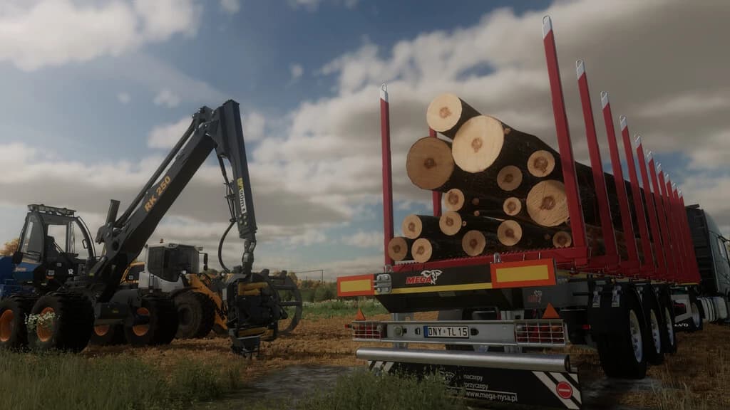 MEGA TIMBER LONG 4