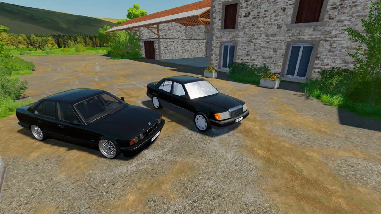 MERCEDES-BENZ W124 250D 2