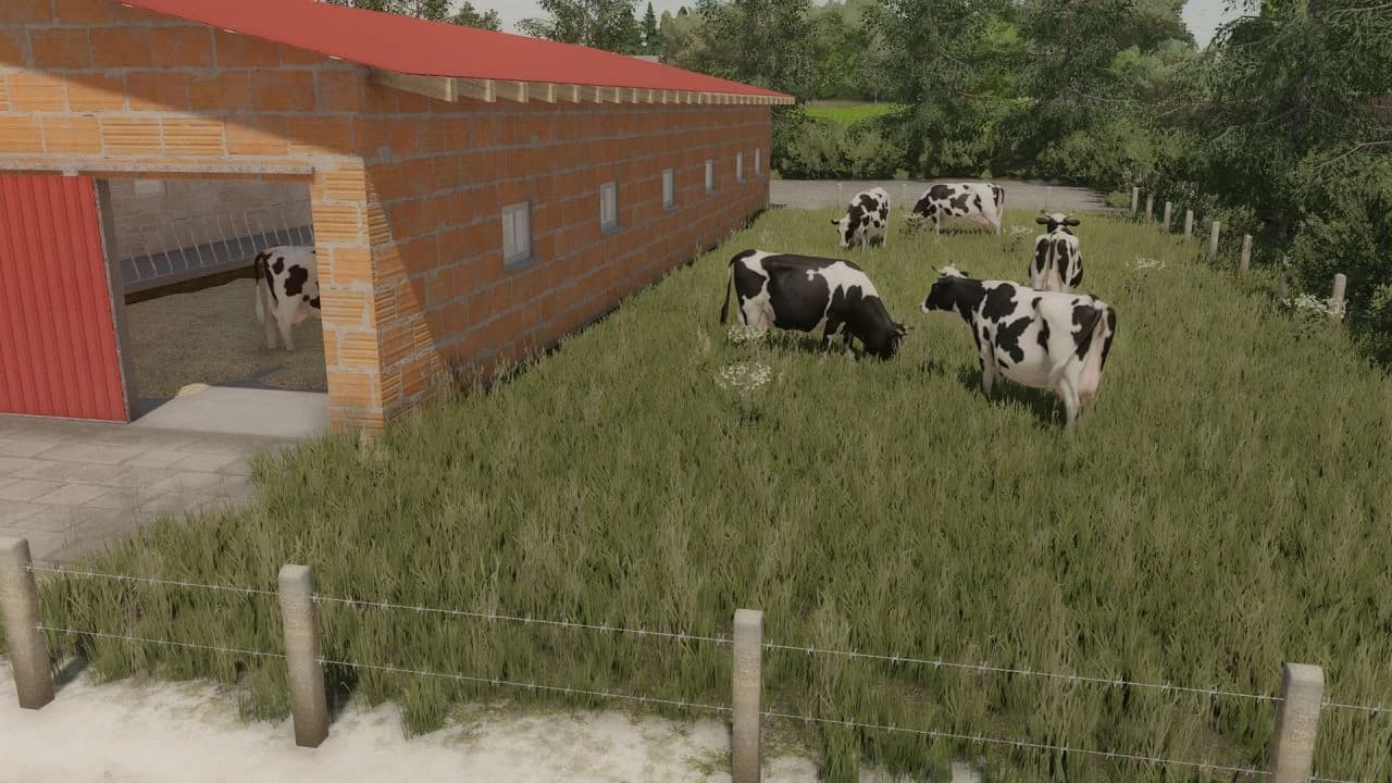 MID SIZED MODERN BARN 5
