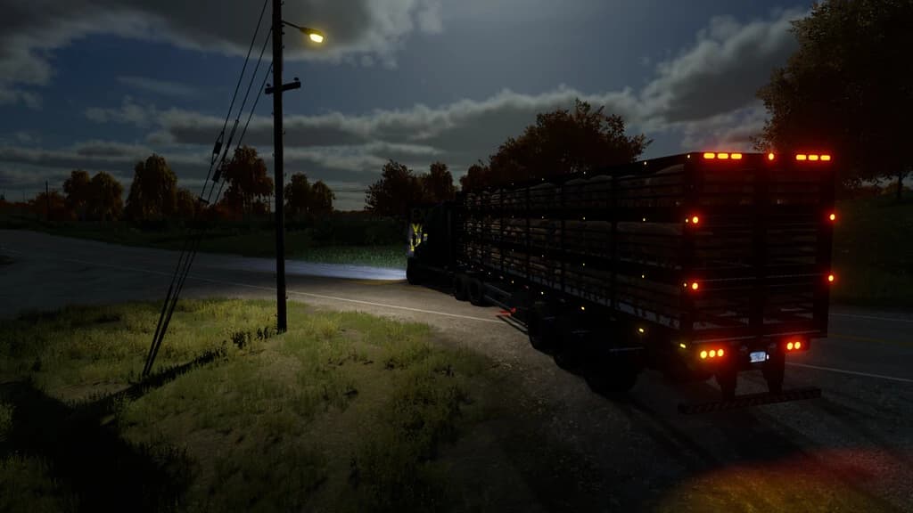 ML PIGS 96 2