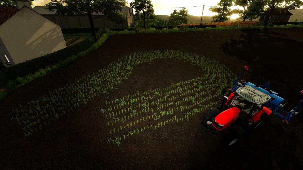 MONOSEM 6 (ROW CROP READY) 5