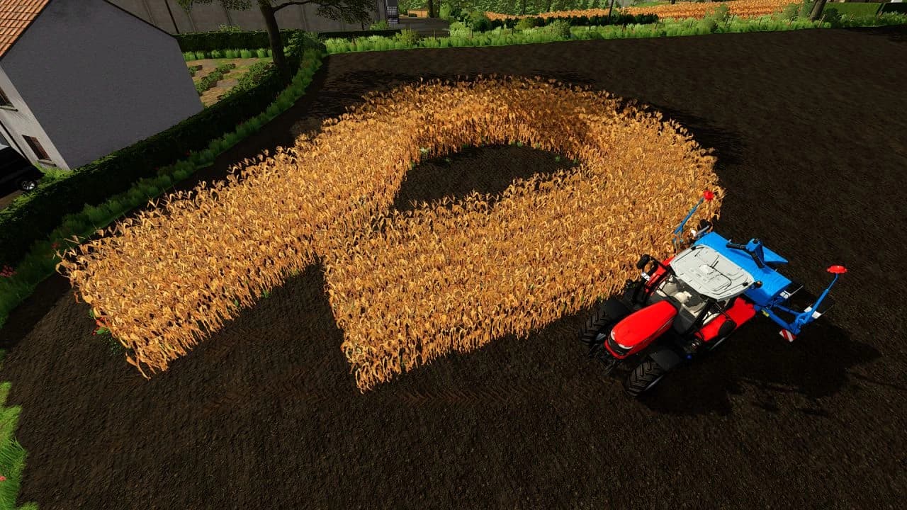 MONOSEM 6 (ROW CROP READY) 3