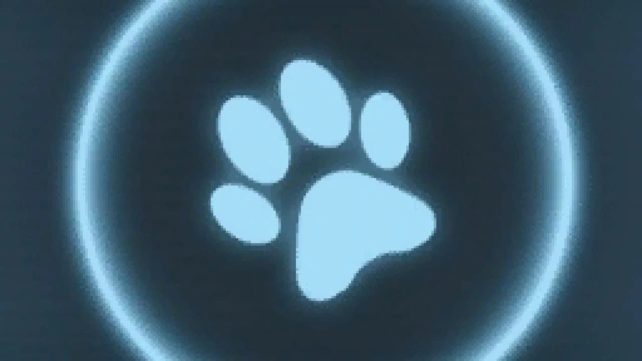 MORE ANIMALS