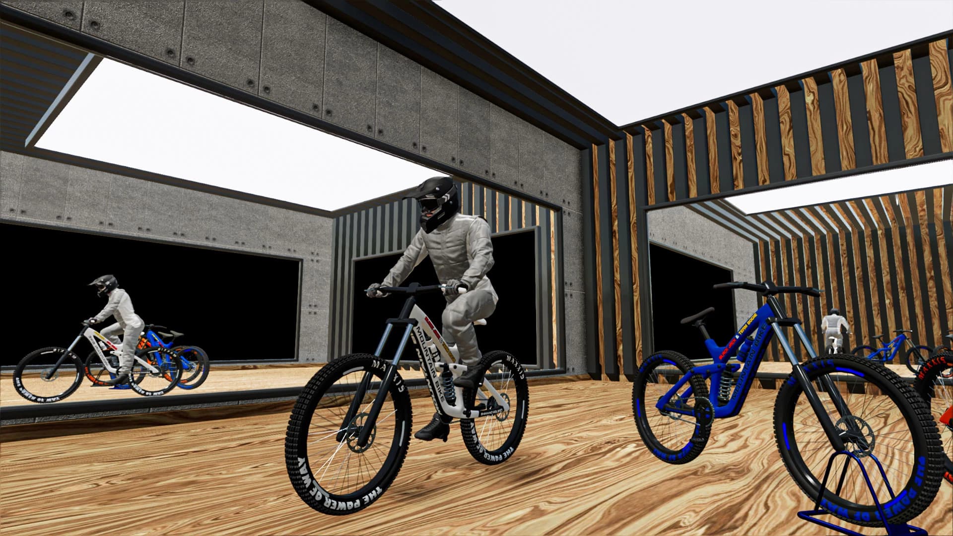MOUNTAIN BIKE 3