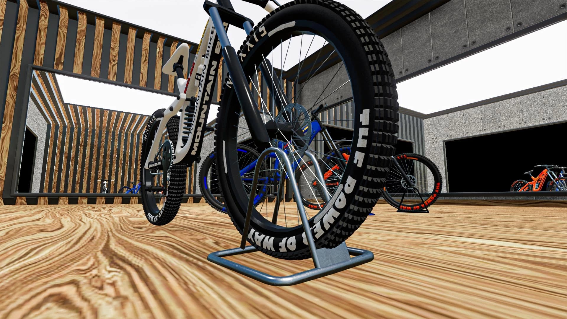 MOUNTAIN BIKE 2