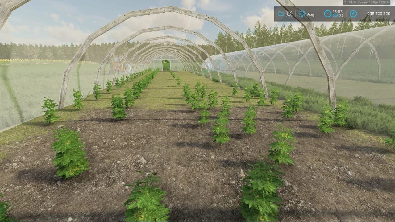 MSC GREENHOUSE V BETA 3
