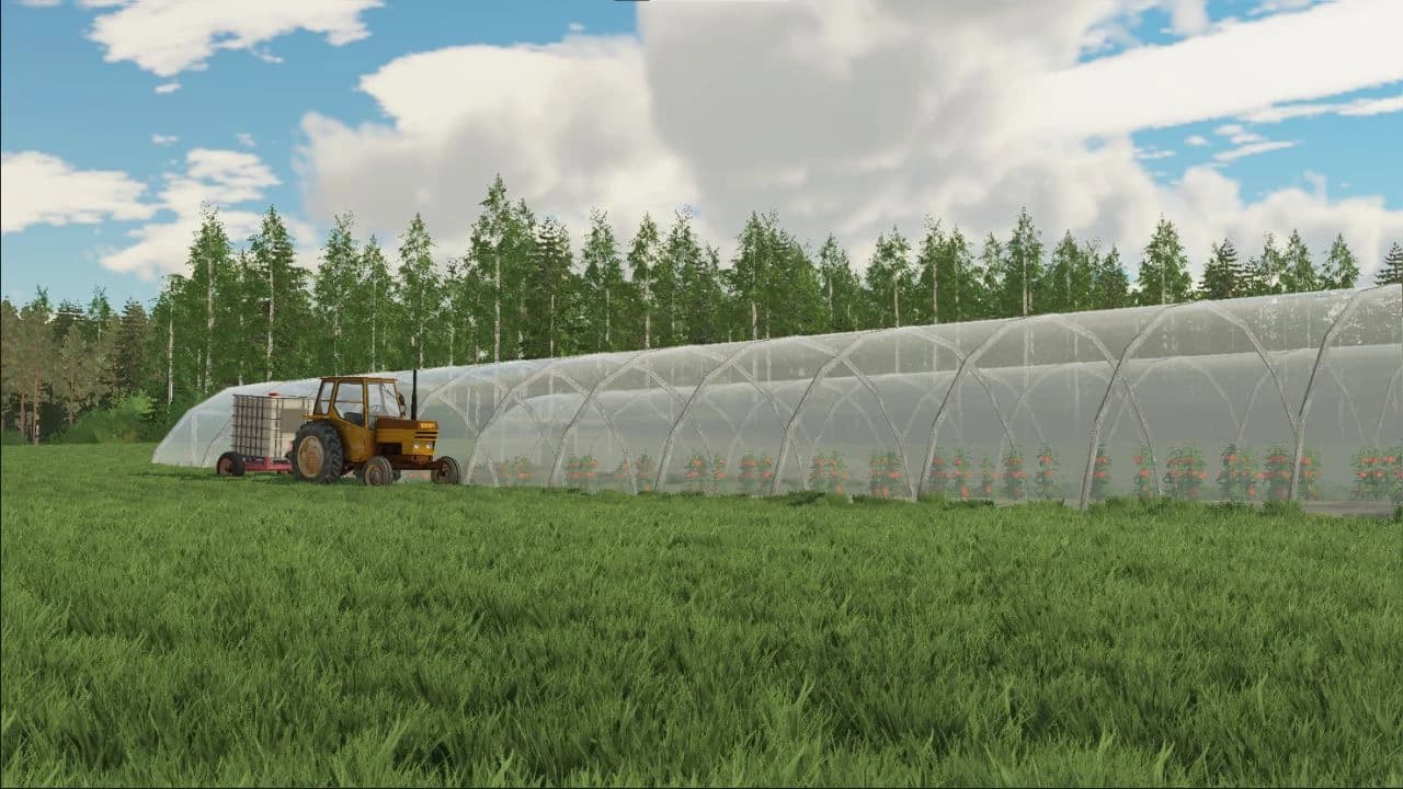 MSC GREENHOUSE V BETA