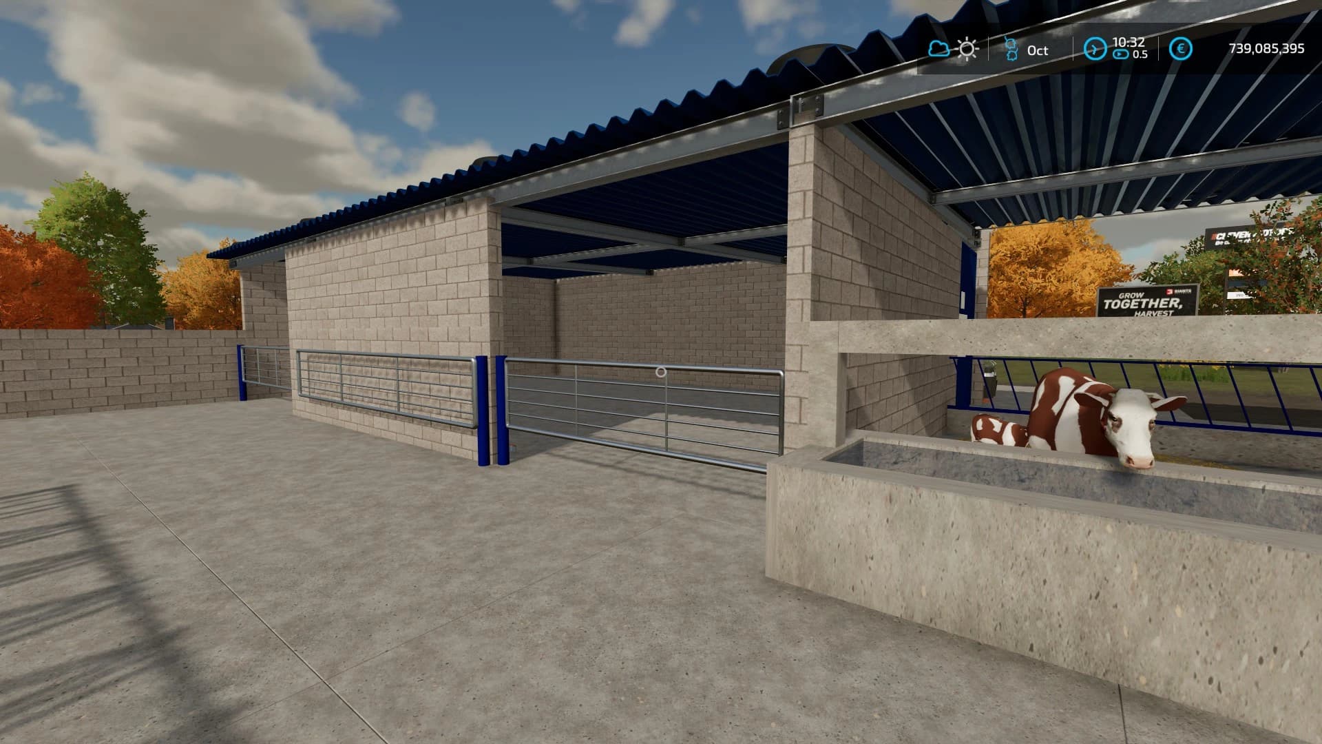 MY COW PASTURE 3