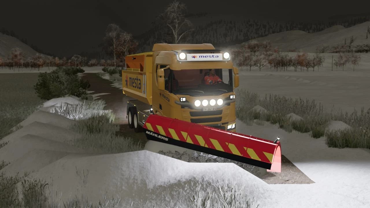 Mählers DPH Snow Plow