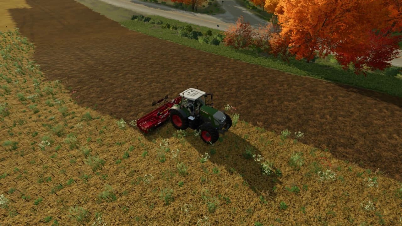 Maschio Aquila