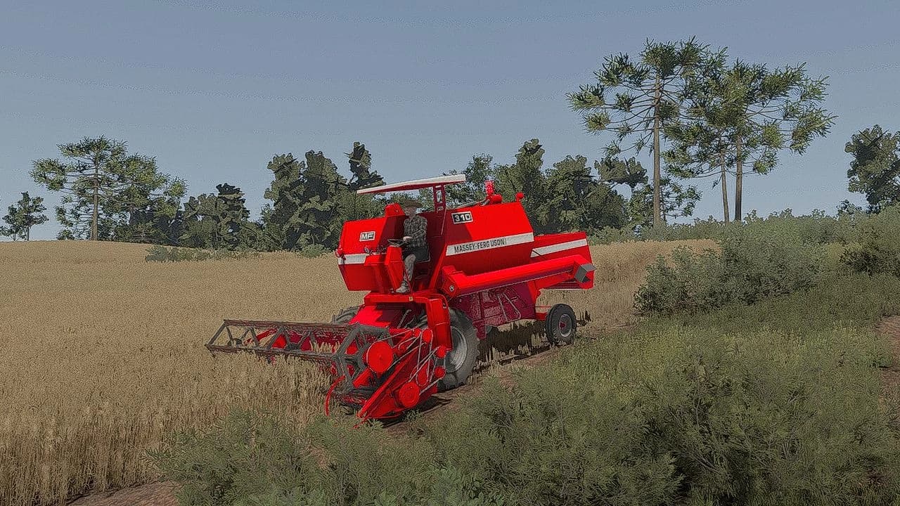 Massey Ferguson 310 2