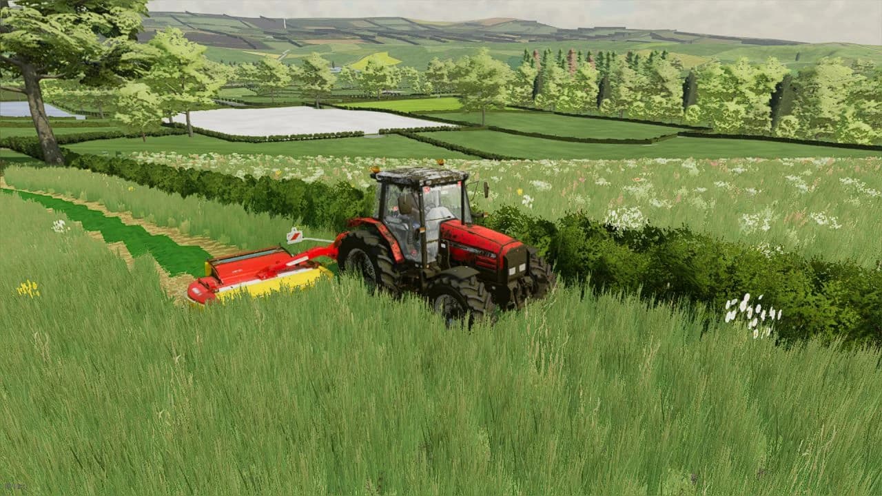 Massey Ferguson 4270 4