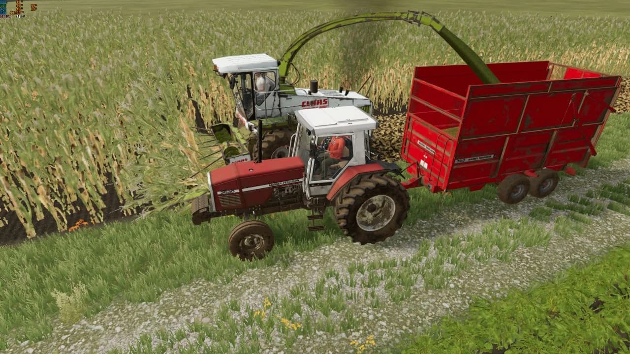 Massey Ferguson 700 5