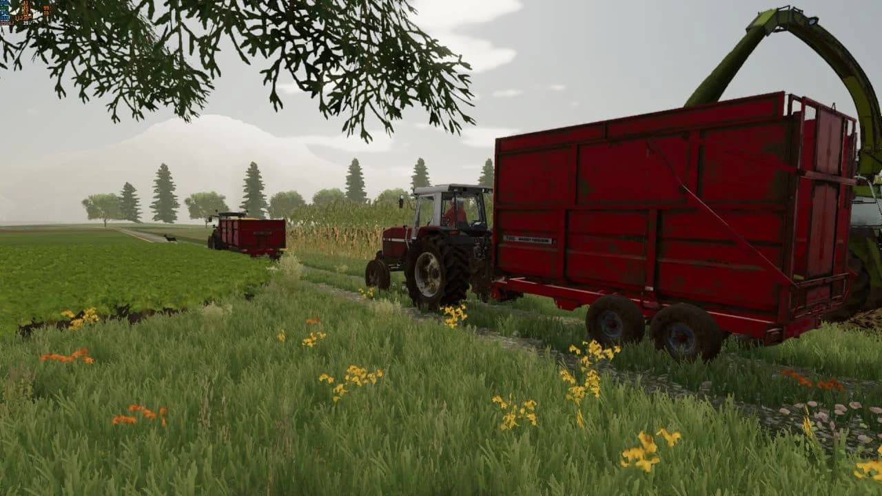 Massey Ferguson 700 3