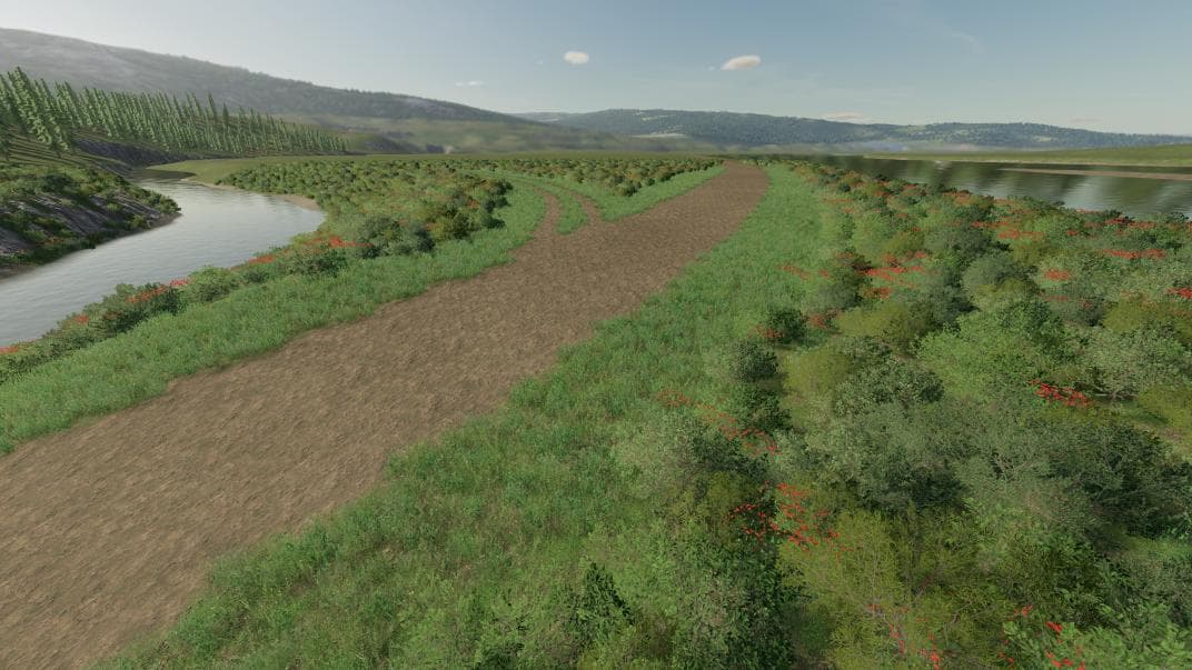 Meadow Springs 3